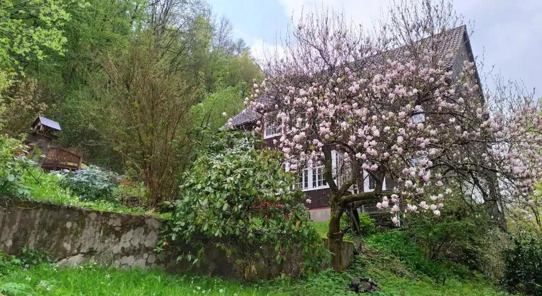 Haus Am Wald Zorge 16+ Gaeste Walkenried Exterior foto