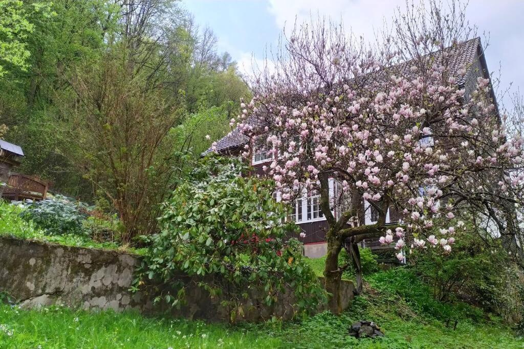Haus Am Wald Zorge 16+ Gaeste Walkenried Exterior foto