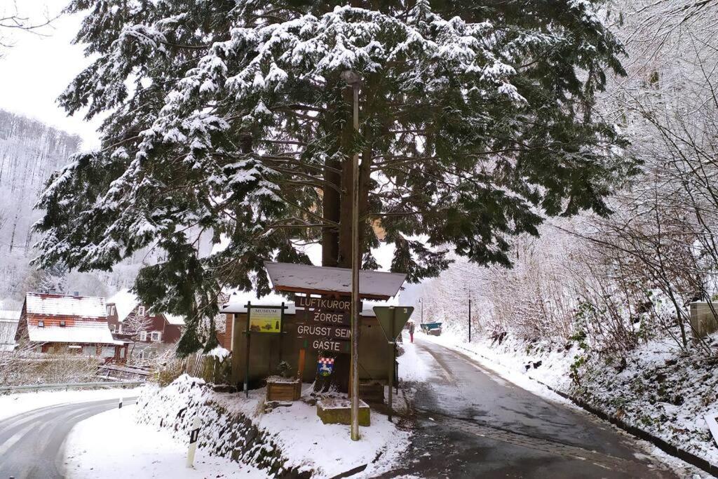 Haus Am Wald Zorge 16+ Gaeste Walkenried Exterior foto